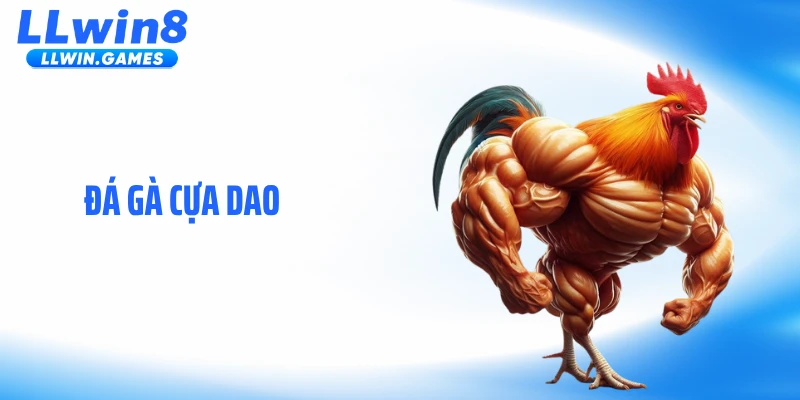 Đá Gà Cựa Dao: Sát Phạt Tốc Độ Khiến Người Xem Nghẹt Thở