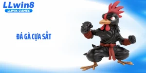 Đá Gà Cựa Sắt: Sự Thật Sau Những Cú Đá Chớp Nhoáng